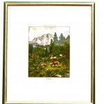 „Im Bergwald“ – Originalmotiv als Xylographie von Franz Hanfstaeng, jagdlich-naturkundliches Dokument, handkoloriert